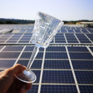 Alternative view of RCR Etna Copas de Vino Tinto 28 cl (Juego de 6)